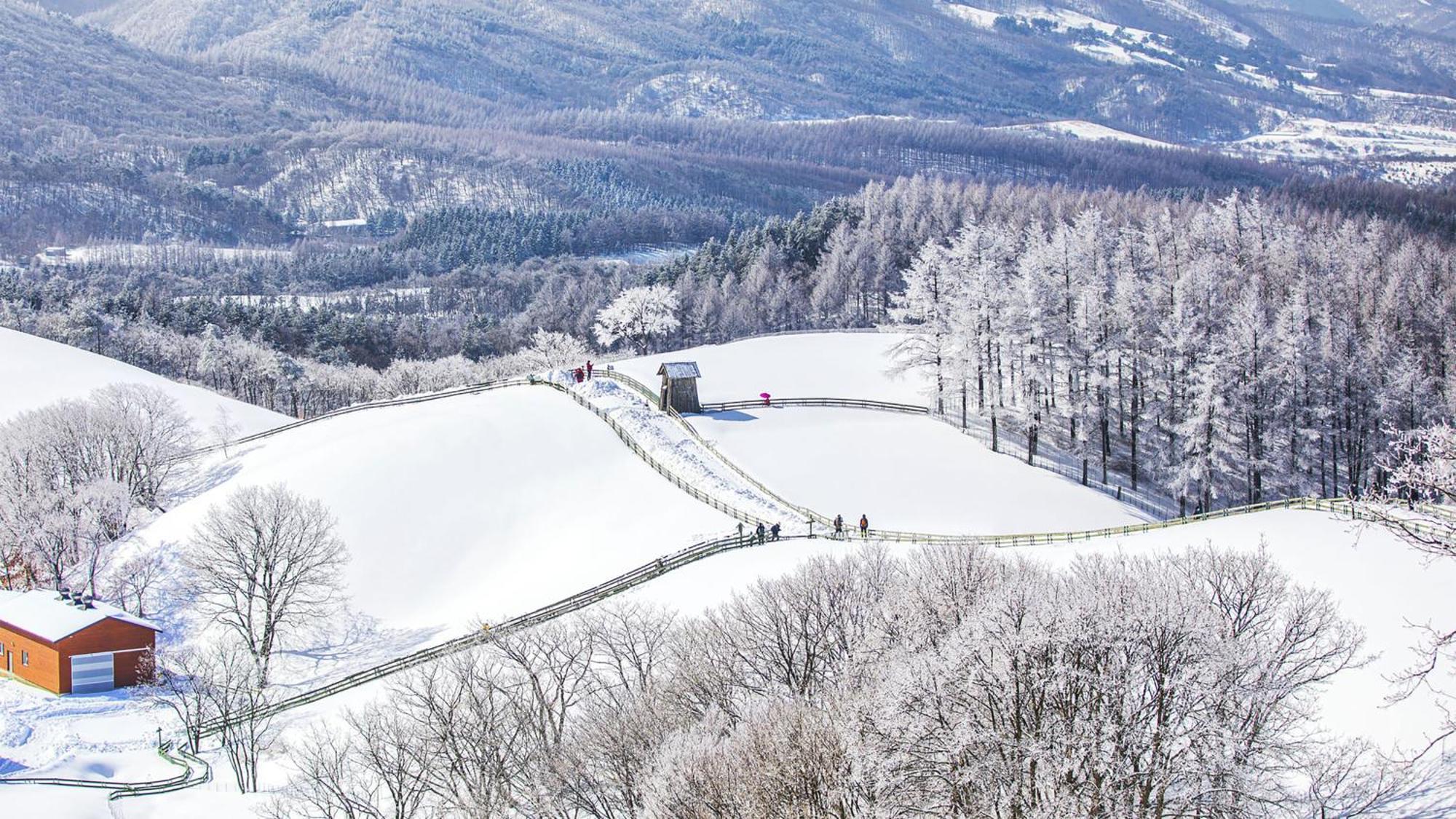 Holiday Inn Resort Alpensia Pyeongchang By Ihg Zewnętrze zdjęcie